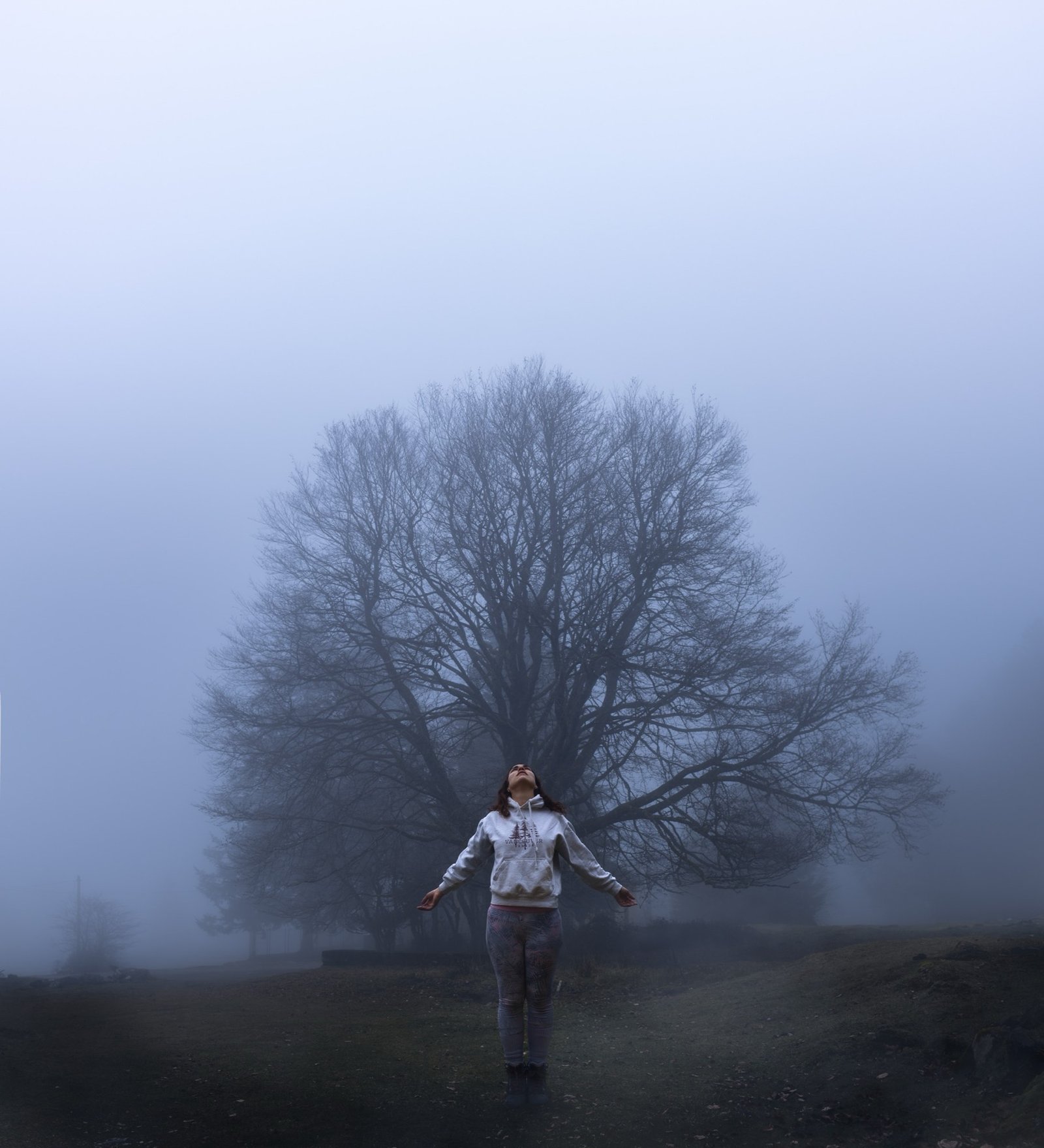 Jade dans la brume, bras ouverts devant un grand arbre
